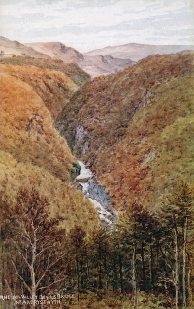 Rheidol-Tal, Teufelsbrücke, bei Aberystwyth von Alfred Robert Quinton